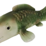 Ryba veľká